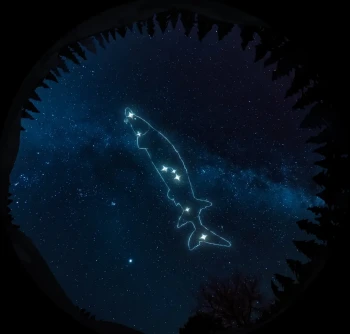 威尔弗雷德·巴克的星象故事