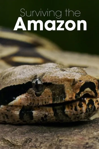 挑战亚马逊 第一季