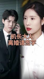 机长大人,离婚请签字