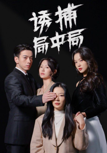 诱捕局中局(夜色暗涌)