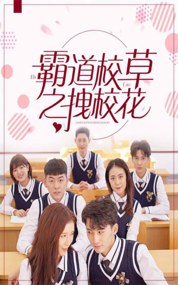 霸道校草拽校花