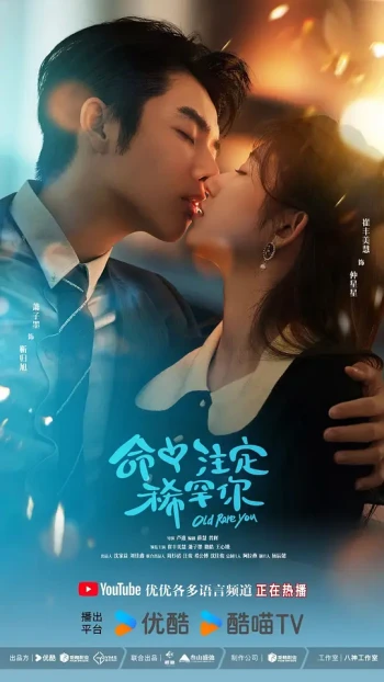 命中注定稀罕你