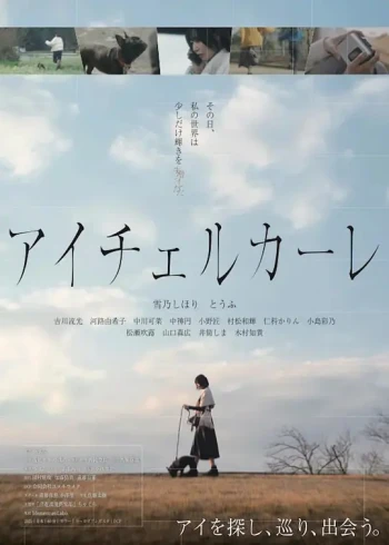 アイチェルカーレ