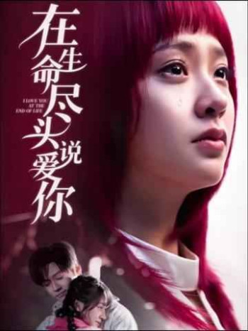 在生命尽头说爱你2025