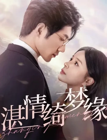 湛情琦梦缘