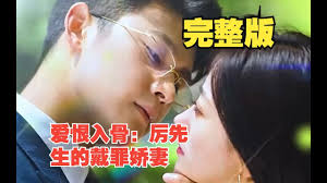 爱恨入骨:厉先生的戴罪娇妻