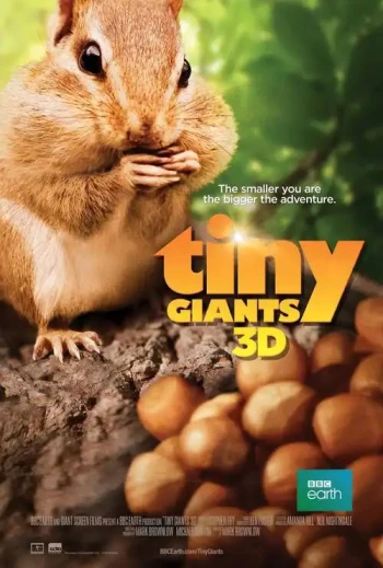 微型萌宠大本营