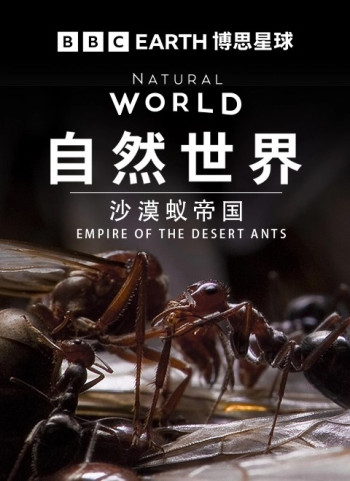 BBC自然世界：沙漠蚂蚁帝国
