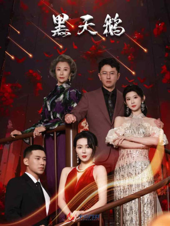 黑天鹅（短剧版）