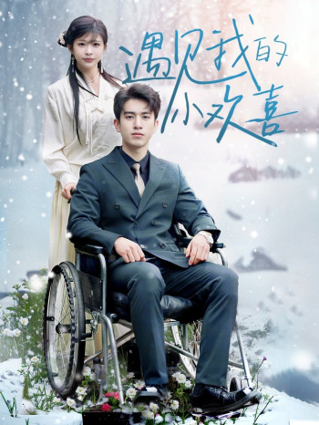 遇见我的小欢喜