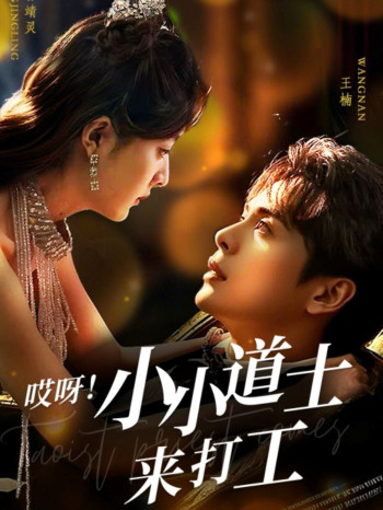 哎呀小小道土来打工(哎呀!小小道土来打工)