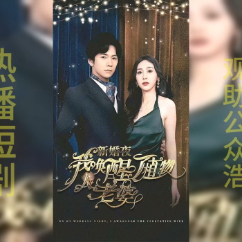 少帅,你的前妻又被求婚了