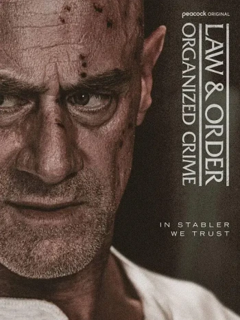 法律与秩序：组织犯罪 第五季