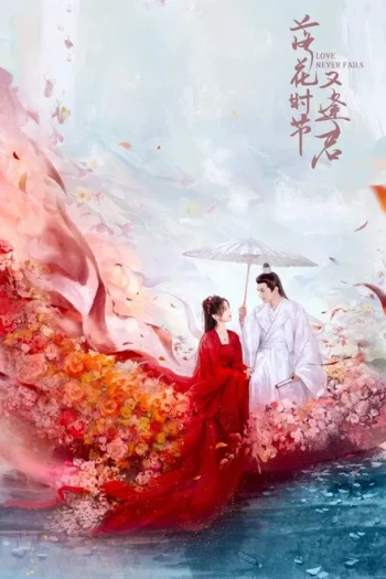 落花时节又逢君2025