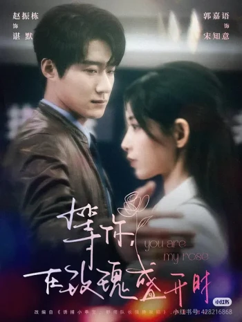 等你,在玫瑰盛开时