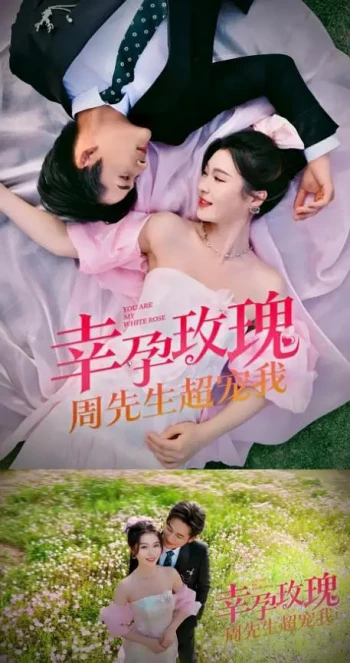 幸运玫瑰，周先生超宠我