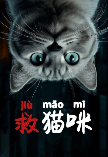 救猫咪