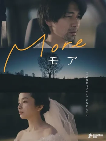 More/摩尔