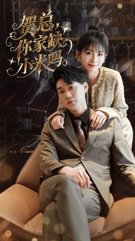 贺总，你家缺小米吗