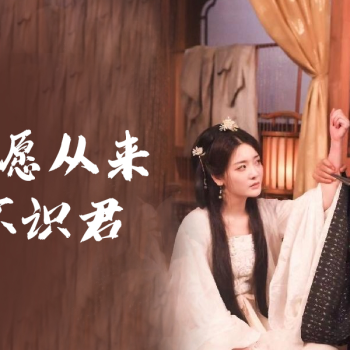 只愿从来不识君