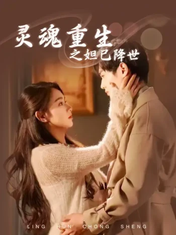 灵魂重生之妲己降世