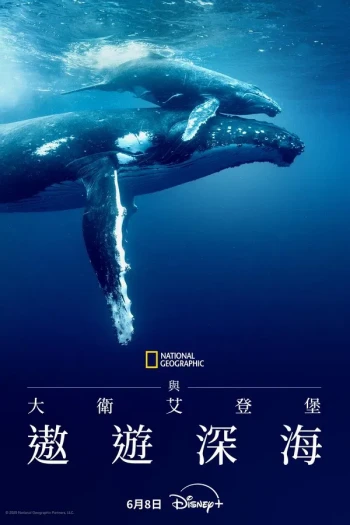 大卫·爱登堡：海洋