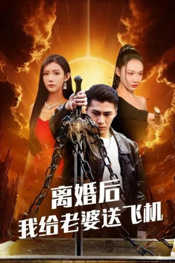 离婚后,我给老婆送飞机