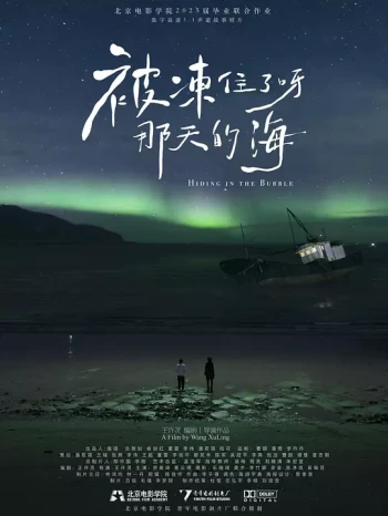 被冻住了呀,那天的海