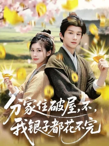 分家住破屋,不,我银子都花不完