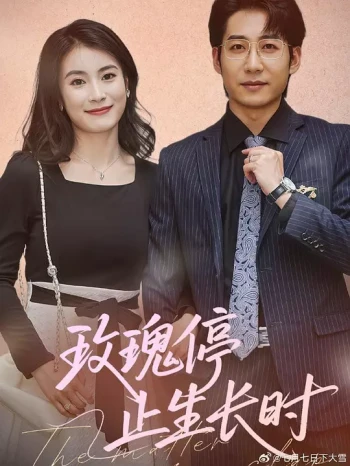 玫瑰停止生长时