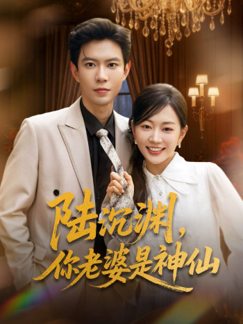 陆沉渊你老婆是神仙