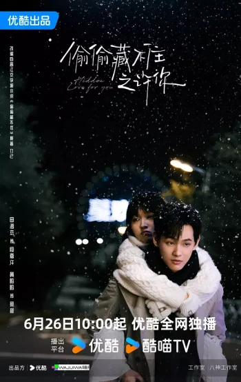 偷偷藏不住之许你