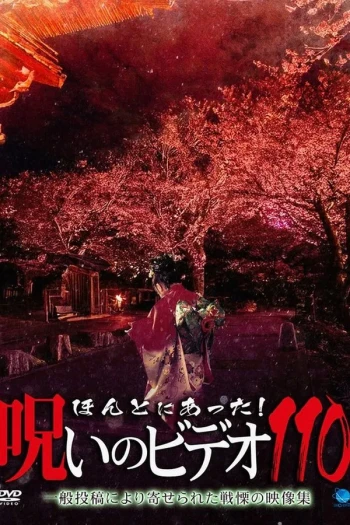 被诅咒的录像带111