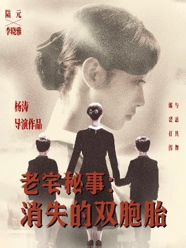 老宅秘事：消失的双胞胎 消失的孩子