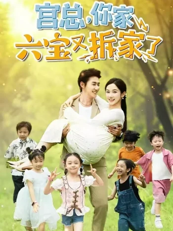 宫总,你家六宝又拆家了