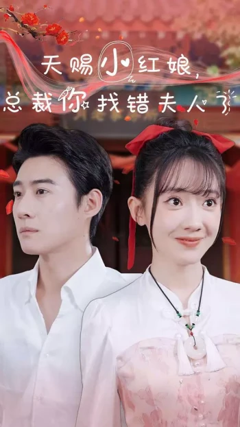 天赐小红娘,总裁你找错夫人了