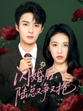 闪婚后，陆总又争又抢