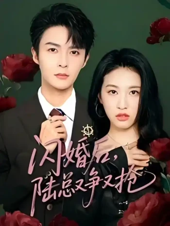 闪婚后陆总又争又抢