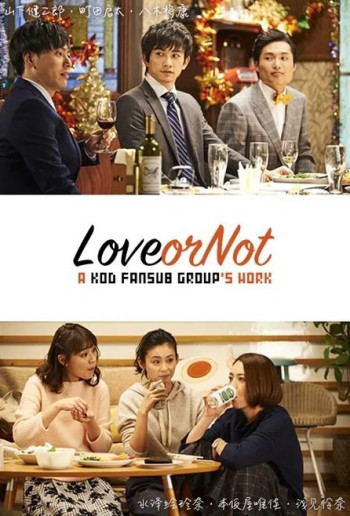 Love or Not