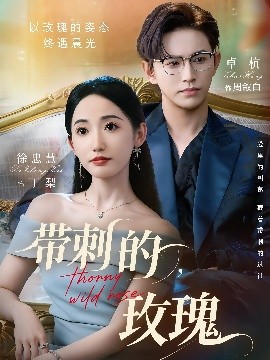 带刺的，玫瑰 带刺的野玫瑰