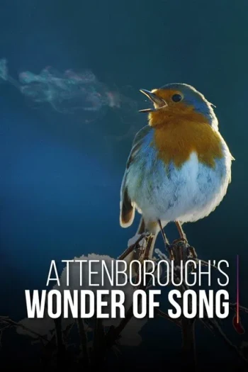 大卫·爱登堡：歌声奇迹