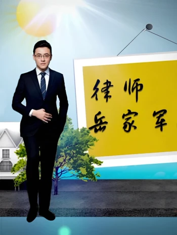 律师岳家军 第一季