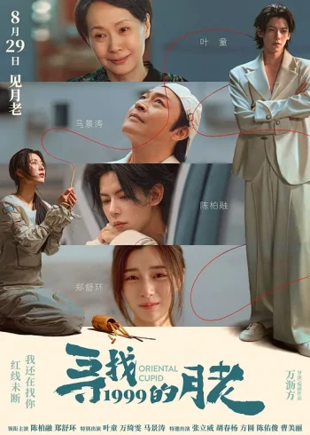 寻找1999的月老