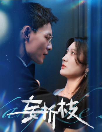 妄折枝未删减版