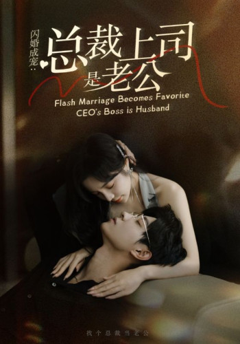 闪婚成宠:总裁上司是老公