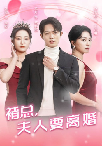 褚总,夫人要离婚