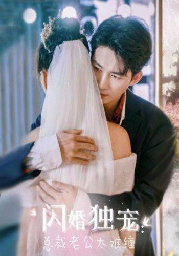 闪婚独宠:总裁老公太难缠