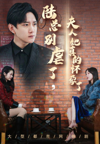 陆总别虐了,夫人她真的怀孕了