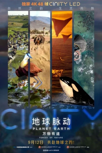 地球脉动：万物有道