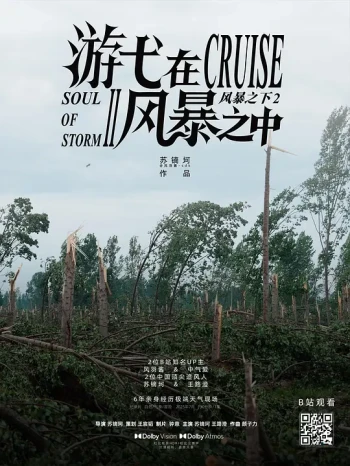 游弋在风暴之中